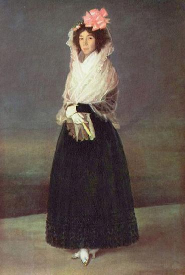 Francisco de Goya Portrat der Comtesse del Carpio oil painting picture